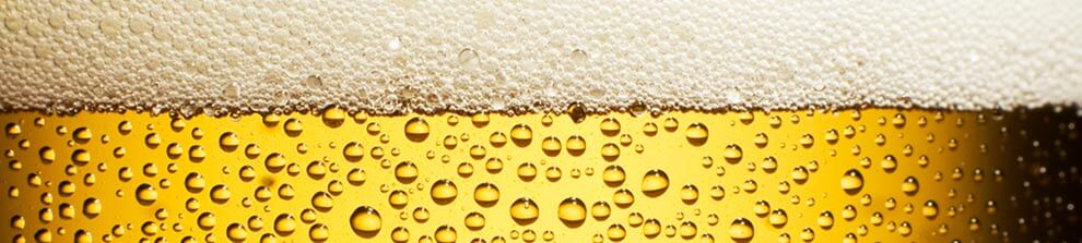 bier01 bier01