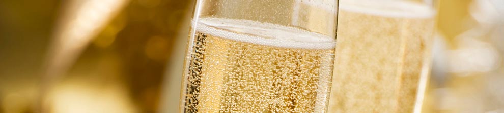 sekt01 sekt01